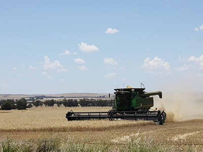 Lines MultiAg