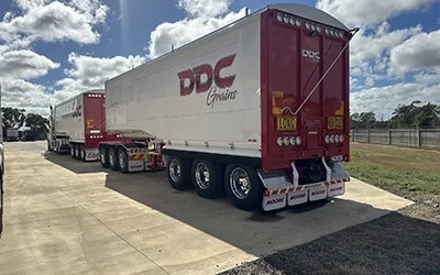 DDC Grains