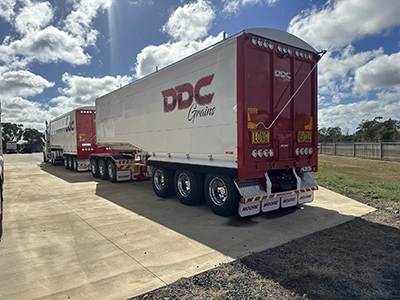 DDC Grains