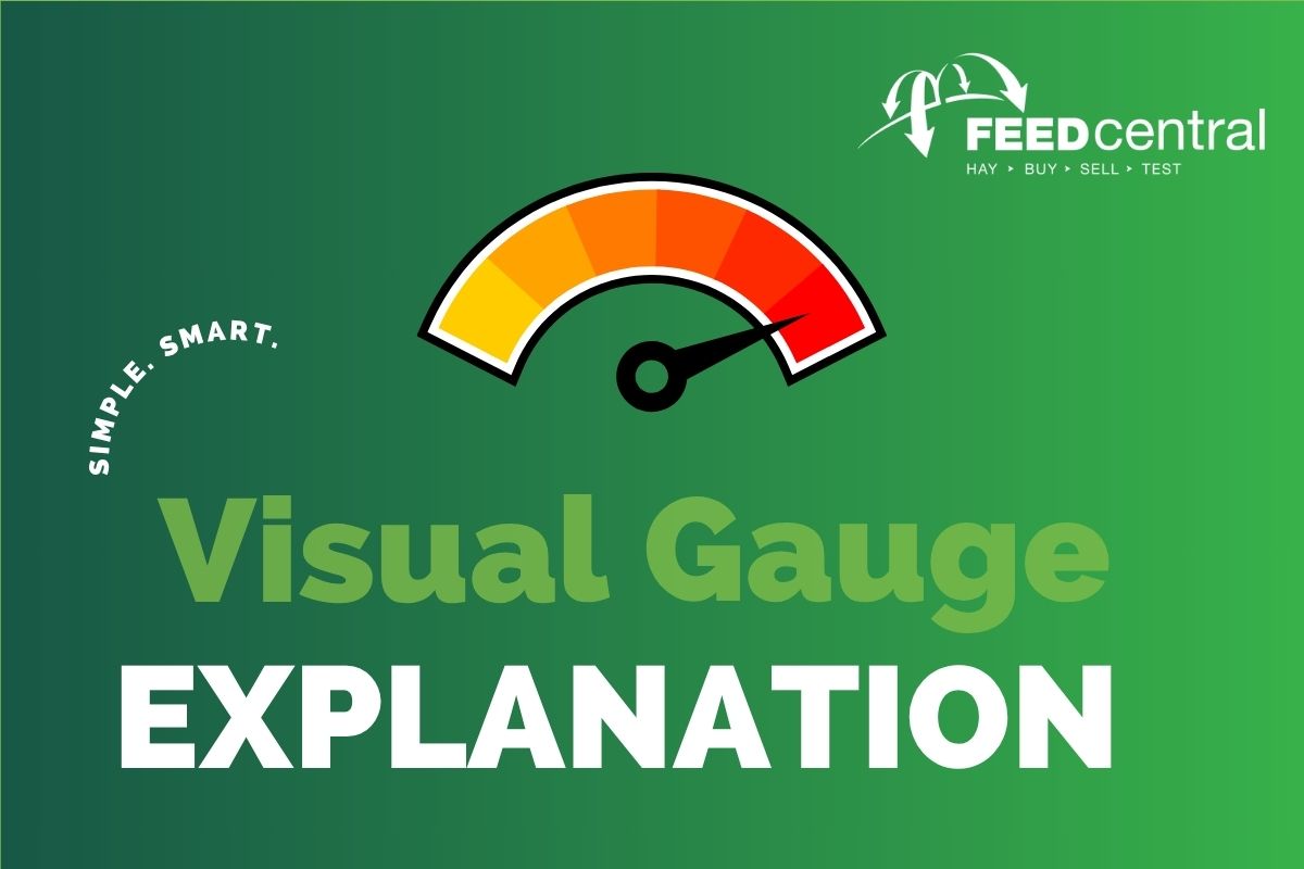 Visual Gauge Explaination
