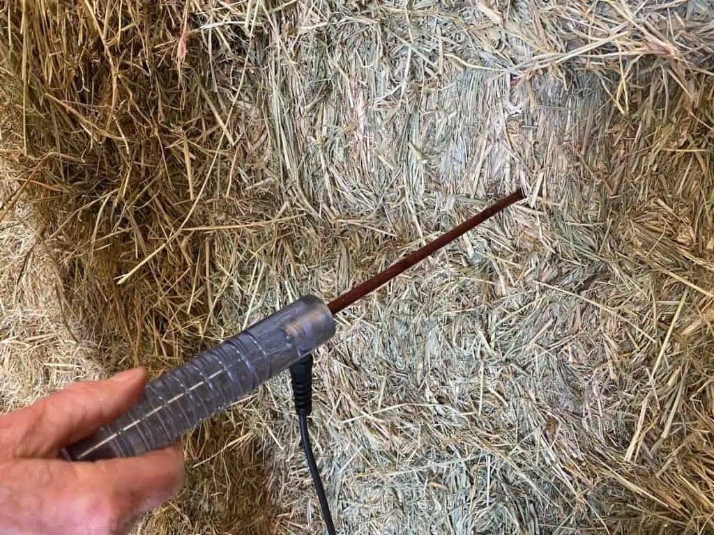 Hay-Probe-1024x768.jpg
