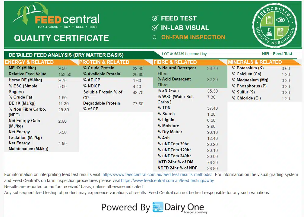 Website-Feed-Test-Sample-.jpg