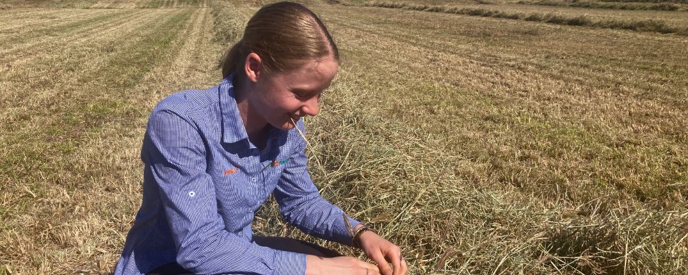 Use of Inoculants and Preservatives in Baling Hay