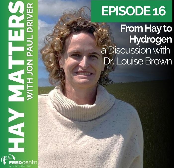 Hay to Hydrogen: a Discussion with Louise Brown