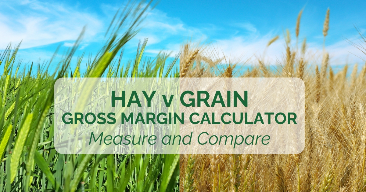 HAY-v-GRAIN-Gross-profit-calculator-1