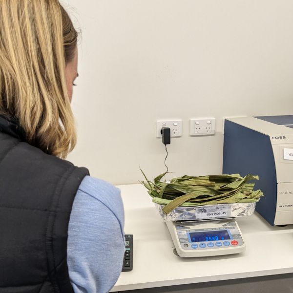 Why Crude Protein Matters in Every Feed Test