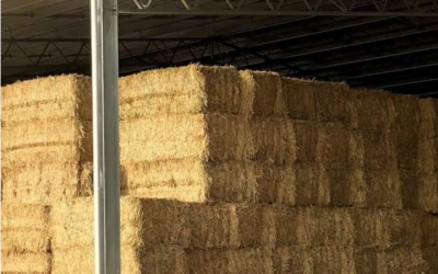 WHP & ESI: A Practical Guide for Hay and Silage