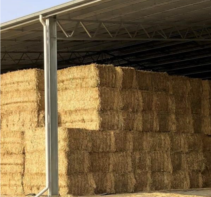 WHP & ESI: A Practical Guide for Hay and Silage