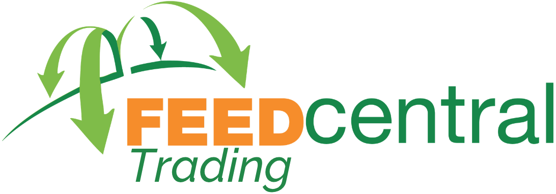 FC Trading Logo