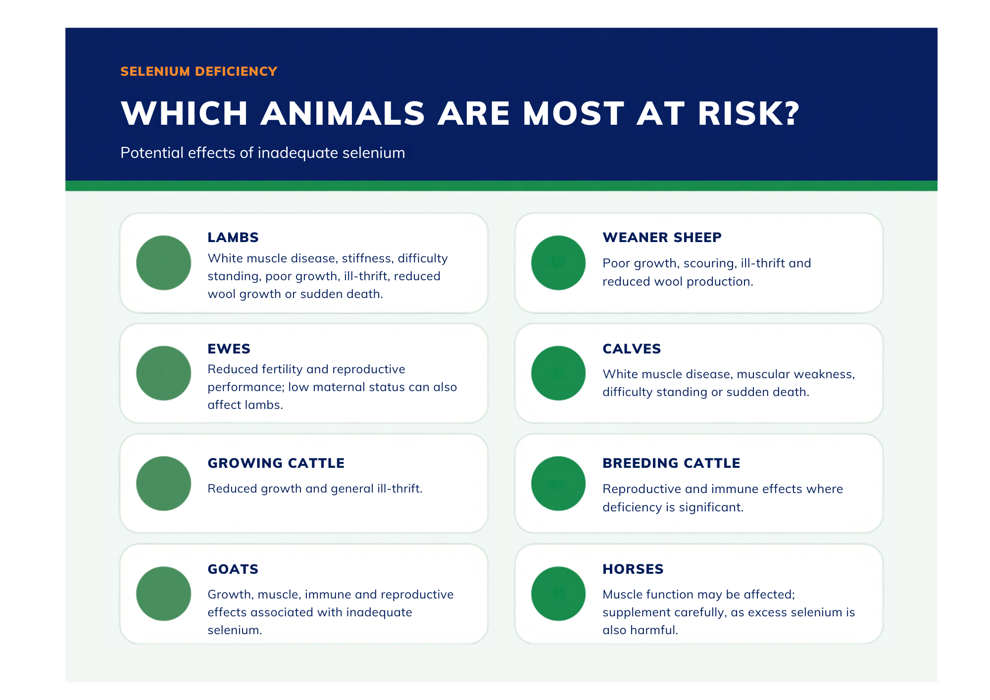 Animals at risk of Se Deficiency