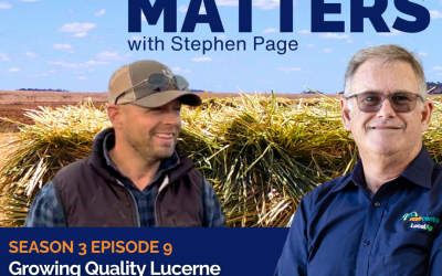 Growing quality lucerne with Wade Alexander