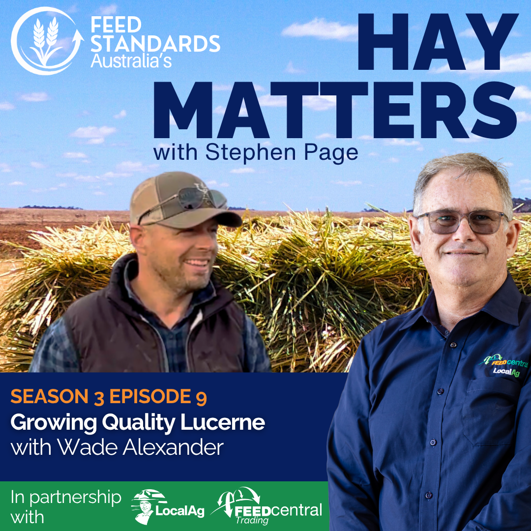 Growing quality lucerne with Wade Alexander