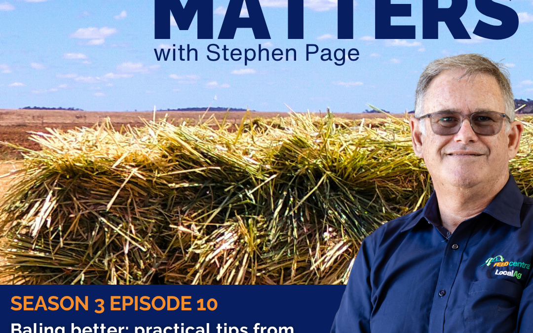 Baling better: practical tips from the paddock with Ben Anderson & Brendan Disson