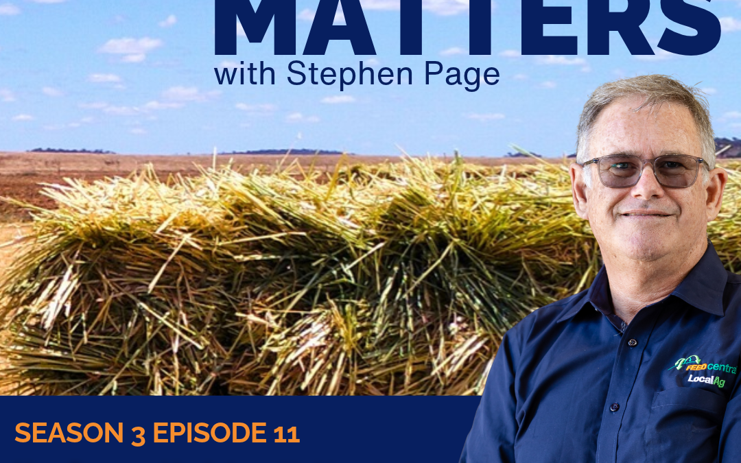 Hay Season Update: Spring 2026 with Steve Page & Nev Janke